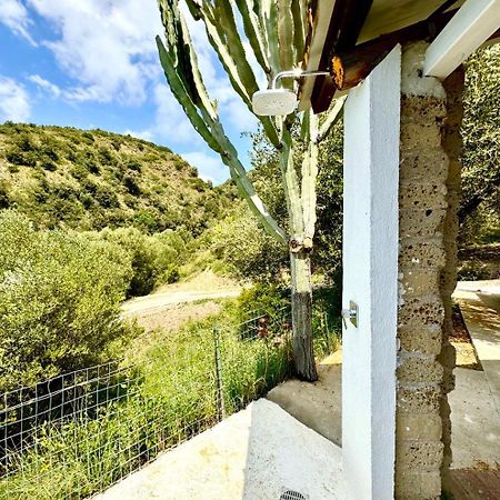 Villa Lo Scoglio Ascea Esterno foto