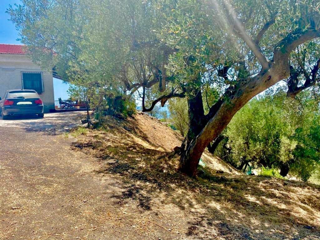Villa Lo Scoglio Ascea Esterno foto
